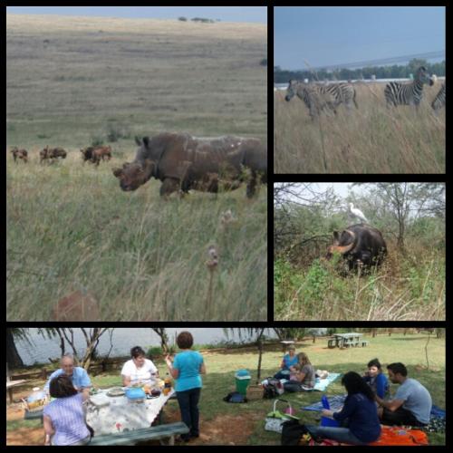 21 Mrt: Rietvlei Wildsrit & Piekniek